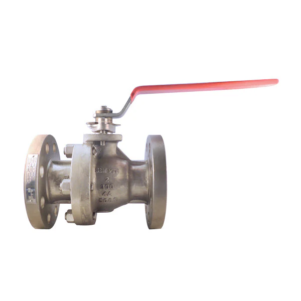 BOLA_PTV_DUPLEX_RPTFE_FL_300