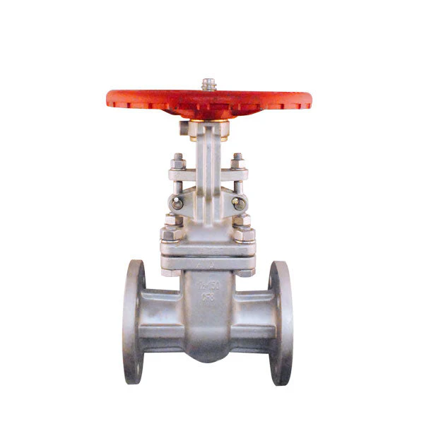 COMPUERTA_DIERSTE_SS304_TRIM_2_FL_150