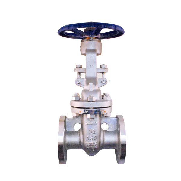 COMPUERTA_PTV_DUPLEX2205_FL_150