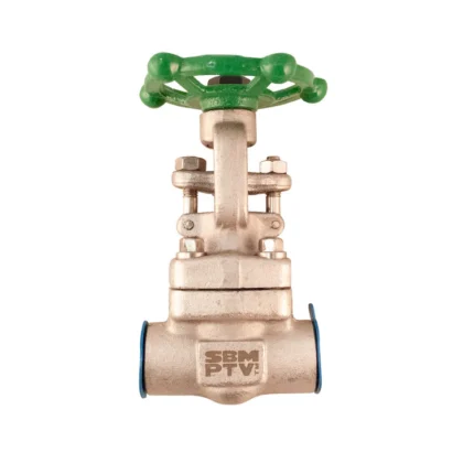 COMPUERTA PTV SS316/SS316 #800 NPT