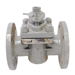 CONO SLEEVE DIERSTE WCB/PTFE FL #300