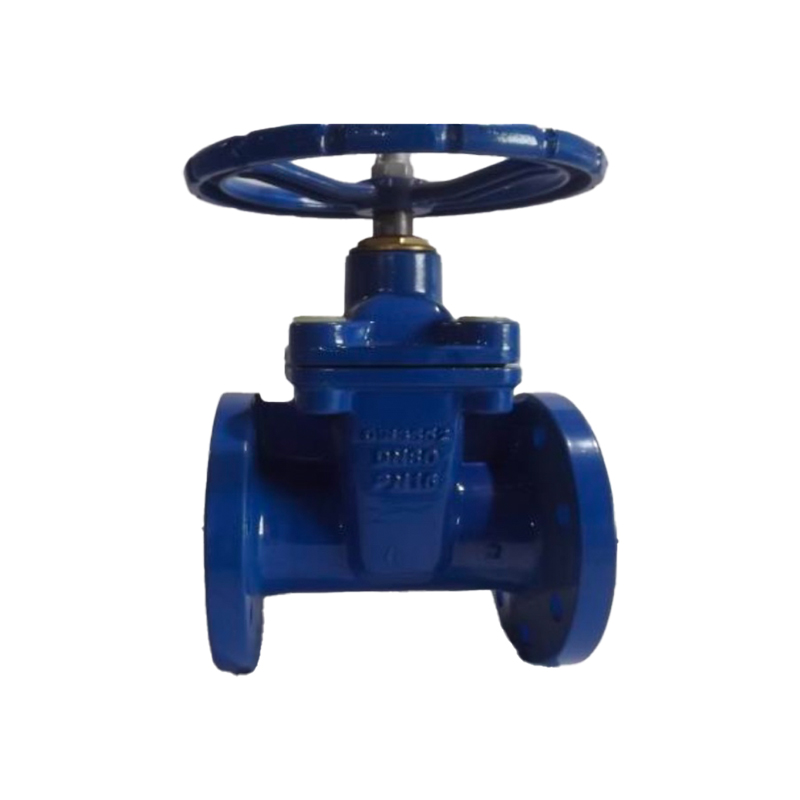 Valvula-de-Compuerta-Elastomerica-DIN-PN-16-1