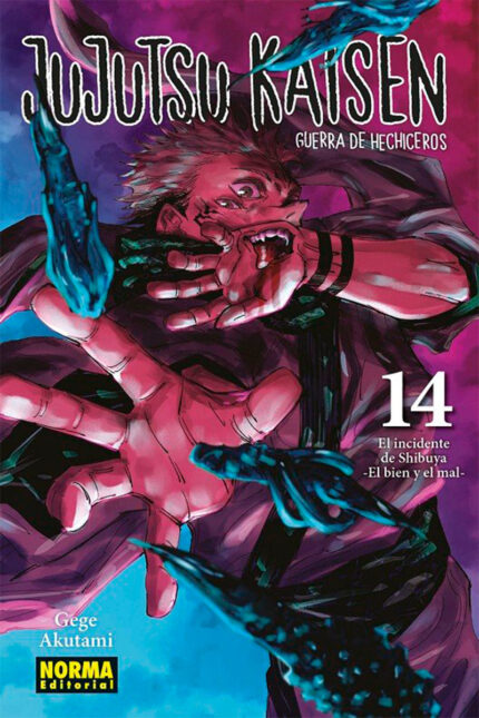 Jujutsu Kaisen #14