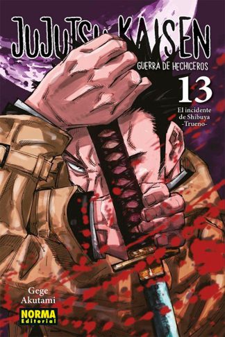 Jujutsu Kaisen #13