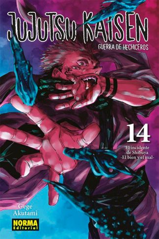 Jujutsu Kaisen #14