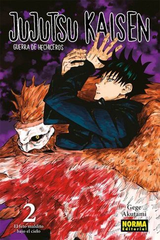 Jujutsu Kaisen #02